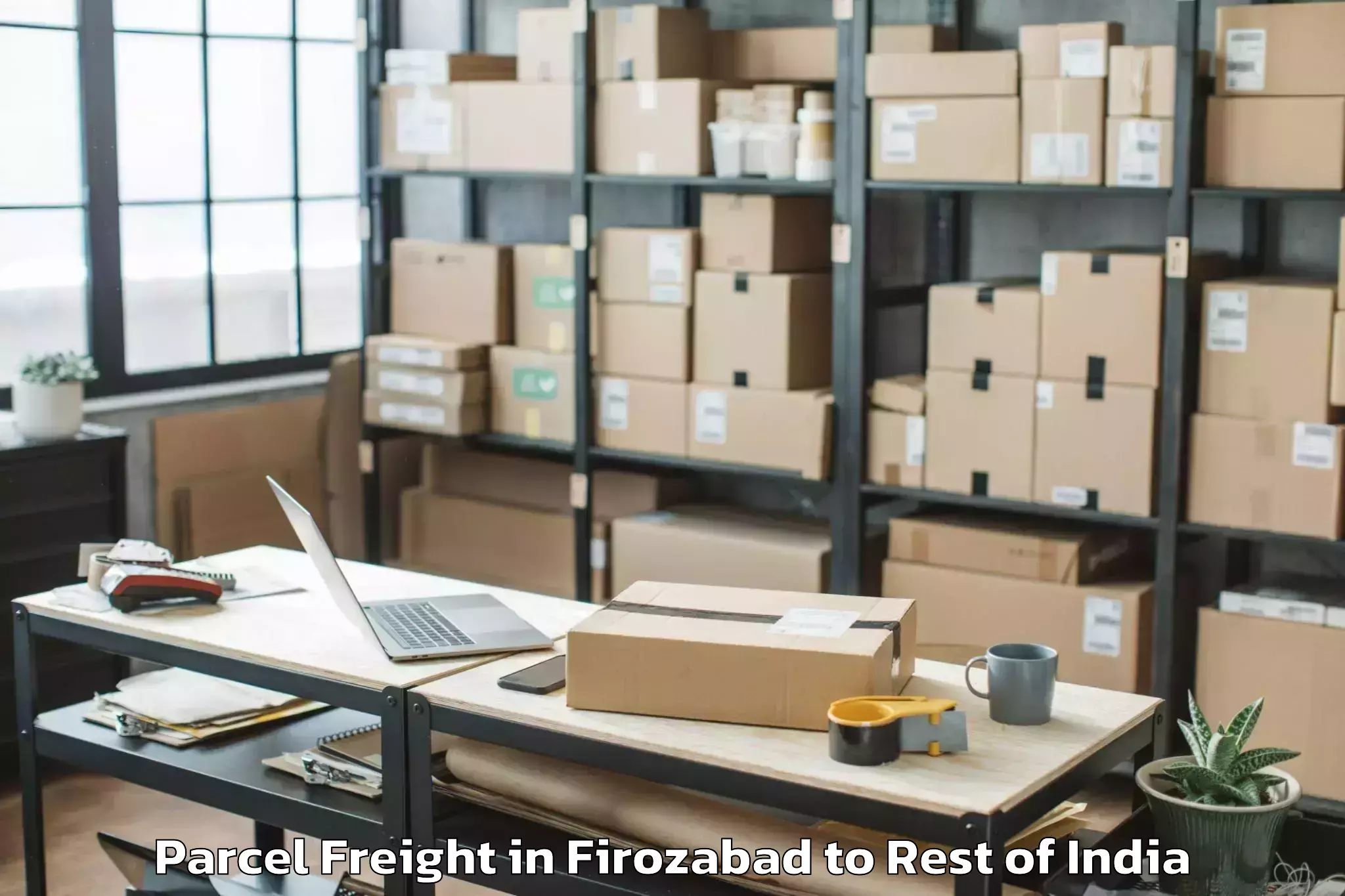 Professional Firozabad to Soibugh Parcel Freight